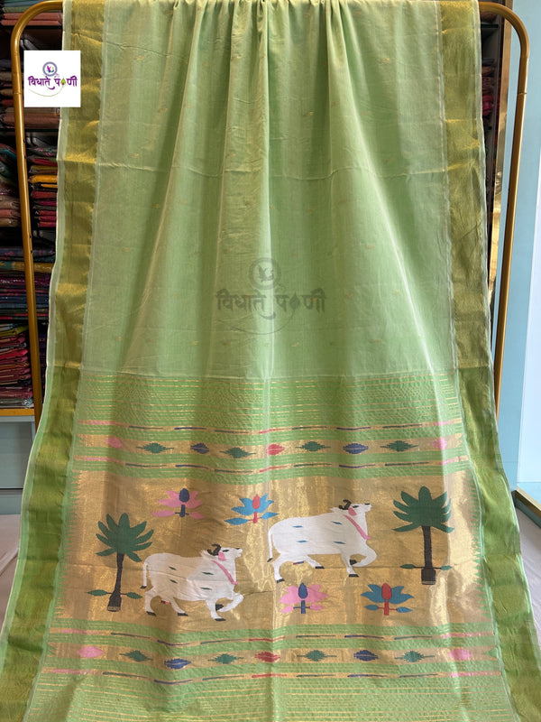 Handloom Pure Cotton Paithani Saree - Pichwai Pallu - Pista Green