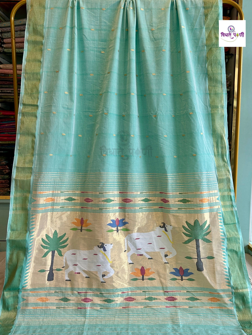 Handloom Pure Cotton Paithani Saree - Pichwai Pallu — full saree draped and laid flat — Vidhate Paithani, Yeola
