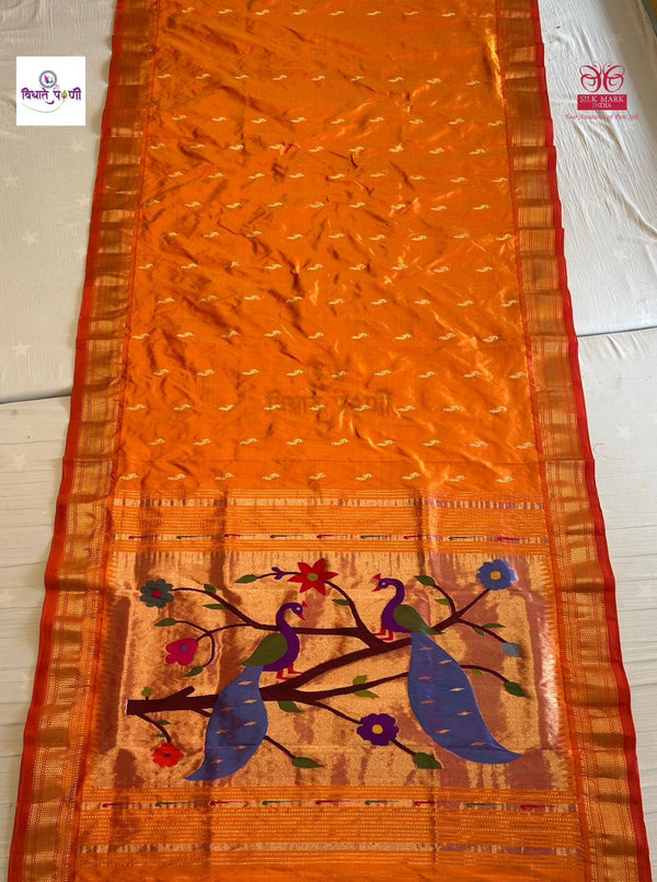 Handloom Pure Silk Paithani Saree - Designer Pallu - 2