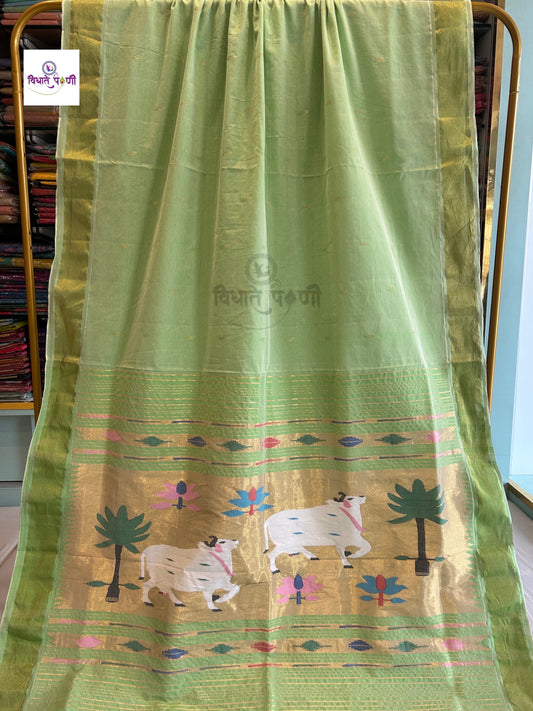 Handloom Pure Cotton Paithani Saree- Pichwai Pallu