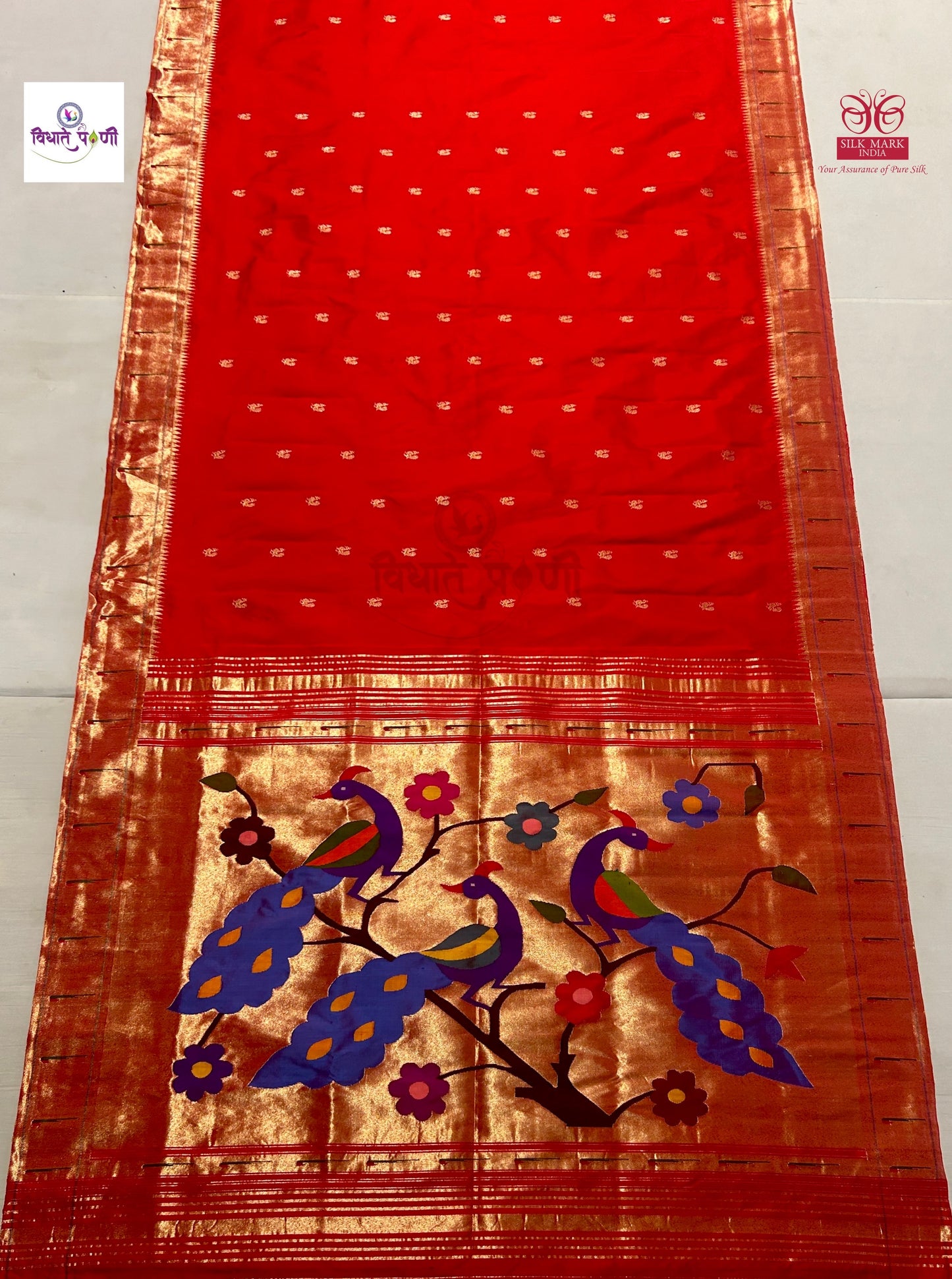 Handloom Pure Silk Single Munia Border Paithani Saree