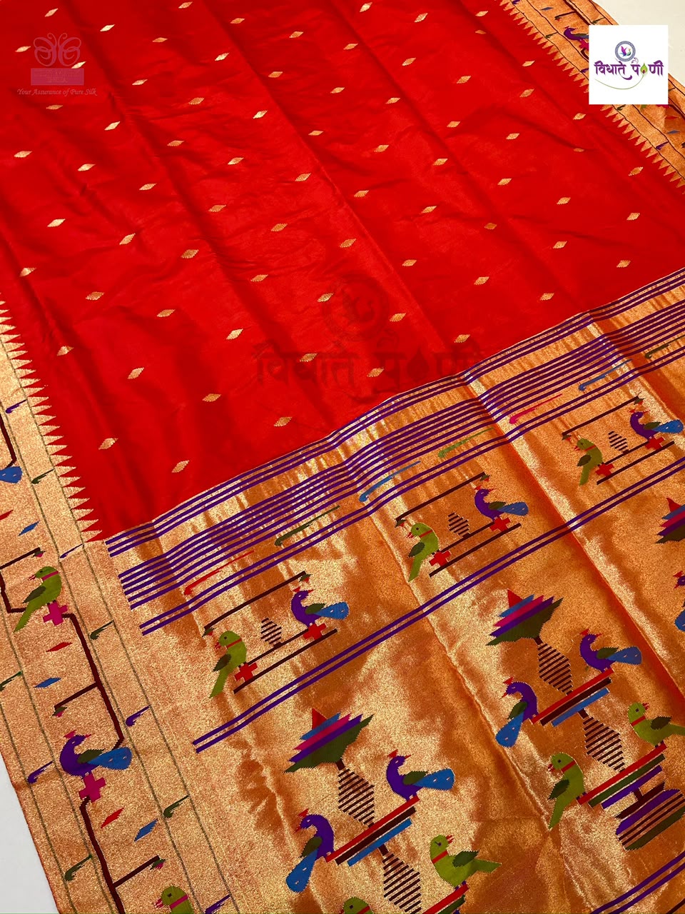Handloom Pure Silk Paithani Saree - Brocade Border - 3